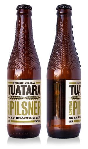 Lizard lager's cartons win packaging plaudits